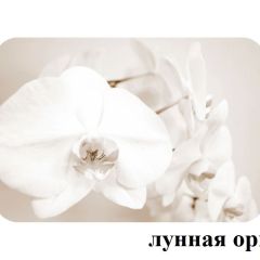 БОСТОН - 3 Стол раздвижной 1100/1420 опоры Брифинг в Тарко-Сале - tarko-sale.mebel24.online | фото 26