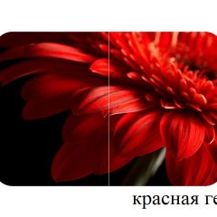 БОСТОН - 3 Стол раздвижной 1100/1420 опоры Триумф в Тарко-Сале - tarko-sale.mebel24.online | фото 18