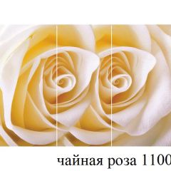 БОСТОН - 3 Стол раздвижной 1100/1420 опоры Триумф в Тарко-Сале - tarko-sale.mebel24.online | фото 48