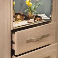 ДИАНА Д11 Шкаф для одежды в Тарко-Сале - tarko-sale.mebel24.online | фото 5