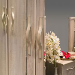 ДИАНА Д11А Шкаф для одежды в Тарко-Сале - tarko-sale.mebel24.online | фото 4