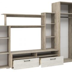 Гостиная Эмма (Дуб Крафт серый/белый) в Тарко-Сале - tarko-sale.mebel24.online | фото 3