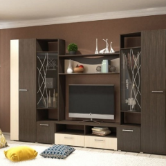 Стенка Гамма (без зеркал) в Тарко-Сале - tarko-sale.mebel24.online | фото
