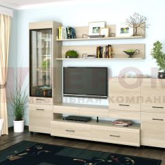 Гостиная Камелия Композиция 5 (Ясень Асахи) в Тарко-Сале - tarko-sale.mebel24.online | фото