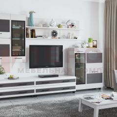 Гостиная Камелия Композиция 6 (Снежный ясень - серый) в Тарко-Сале - tarko-sale.mebel24.online | фото