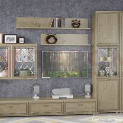 Гостиная Карина Композиция 1 (Гикори Джексон светлый) в Тарко-Сале - tarko-sale.mebel24.online | фото