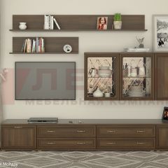 Гостиная Карина Композиция 10 (Акация Молдау) в Тарко-Сале - tarko-sale.mebel24.online | фото
