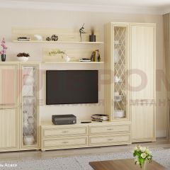 Гостиная Карина Композиция 12 (Ясень Асахи) в Тарко-Сале - tarko-sale.mebel24.online | фото