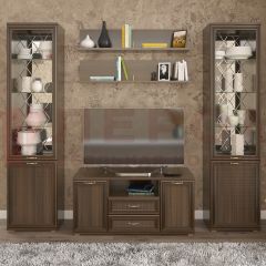Гостиная Карина Композиция 13 (Акация Молдау) в Тарко-Сале - tarko-sale.mebel24.online | фото