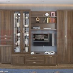 Гостиная Карина Композиция 14 (Акация Молдау) в Тарко-Сале - tarko-sale.mebel24.online | фото