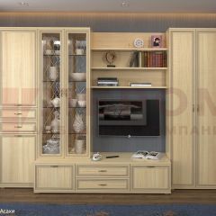 Гостиная Карина Композиция 14 (Ясень Асахи) в Тарко-Сале - tarko-sale.mebel24.online | фото