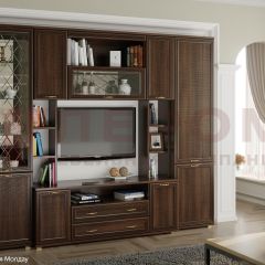Гостиная Карина Композиция 2 (Акация Молдау) в Тарко-Сале - tarko-sale.mebel24.online | фото