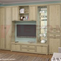 Гостиная Карина Композиция 21 (Гикори Джексон светлый) в Тарко-Сале - tarko-sale.mebel24.online | фото 6