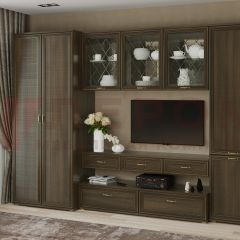 Гостиная Карина Композиция 23 (Акация Молдау) в Тарко-Сале - tarko-sale.mebel24.online | фото