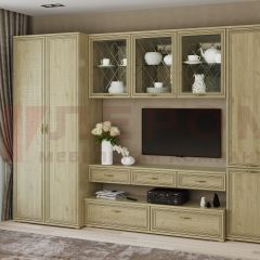 Гостиная Карина Композиция 23 (Гикори Джексон светлый) в Тарко-Сале - tarko-sale.mebel24.online | фото