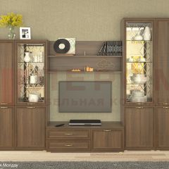 Гостиная Карина Композиция 24 (Акация Молдау) в Тарко-Сале - tarko-sale.mebel24.online | фото