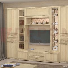 Гостиная Карина Композиция 3 (Ясень Асахи) в Тарко-Сале - tarko-sale.mebel24.online | фото