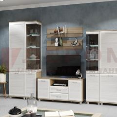 Гостиная Мелисса Композиция 5 (корпус Ясень Асахи, фасад Снежный ясень) в Тарко-Сале - tarko-sale.mebel24.online | фото 2