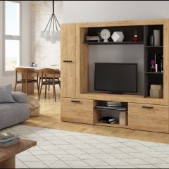 Гостиная Оскар 3 (Дуб золотой /Венге) в Тарко-Сале - tarko-sale.mebel24.online | фото