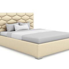 Кровать Коралл интерьерная +основание (200х200) в Тарко-Сале - tarko-sale.mebel24.online | фото 4