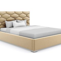 Кровать Коралл интерьерная +основание (200х200) в Тарко-Сале - tarko-sale.mebel24.online | фото 6