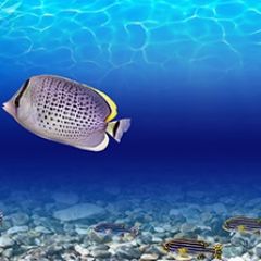 Кухонный фартук Фауна 026 МДФ матовый (3000) Fauna в Тарко-Сале - tarko-sale.mebel24.online | фото