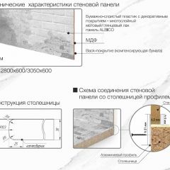 Кухонный фартук со столешницей (А-01) в едином стиле (3050 мм) в Тарко-Сале - tarko-sale.mebel24.online | фото 7