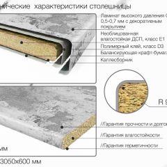 Кухонный фартук со столешницей (А-015) в едином стиле (3050 мм) в Тарко-Сале - tarko-sale.mebel24.online | фото 6