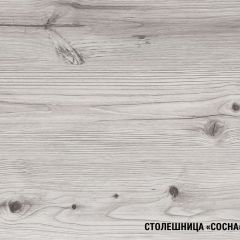 Кухонный гарнитур Сиена мини 1000 мм в Тарко-Сале - tarko-sale.mebel24.online | фото 8