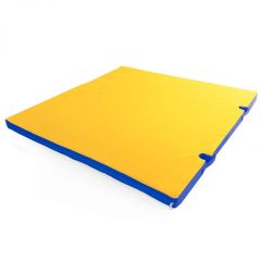 Мат гимнастический 1х1х0,05м с вырезом под стойки цв. синий-желтый в Тарко-Сале - tarko-sale.mebel24.online | фото 1