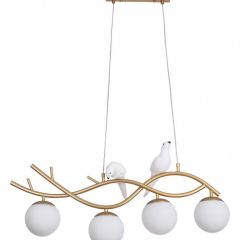 Подвесной светильник Arte Lamp Eltanin A3422SP-4GO в Тарко-Сале - tarko-sale.mebel24.online | фото 2