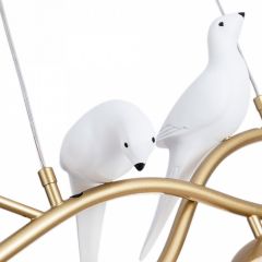 Подвесной светильник Arte Lamp Eltanin A3422SP-4GO в Тарко-Сале - tarko-sale.mebel24.online | фото 4
