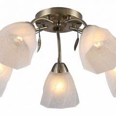 Потолочная люстра Rivoli Olivia Б0052693 в Тарко-Сале - tarko-sale.mebel24.online | фото
