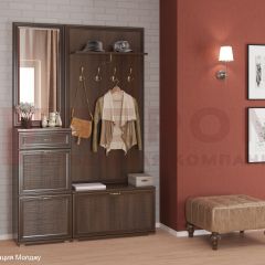 Прихожая Карина композиция 2 (Акация Молдау) в Тарко-Сале - tarko-sale.mebel24.online | фото