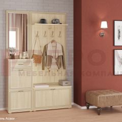 Прихожая Карина композиция 2 (Ясень Асахи) в Тарко-Сале - tarko-sale.mebel24.online | фото