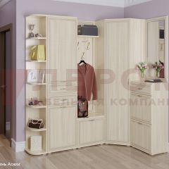 Прихожая Карина композиция 5 (Ясень Асахи) в Тарко-Сале - tarko-sale.mebel24.online | фото