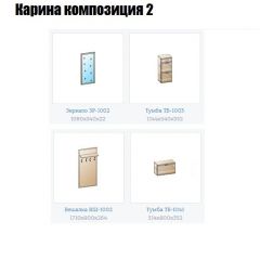 Прихожая Карина (модульная) в Тарко-Сале - tarko-sale.mebel24.online | фото 6