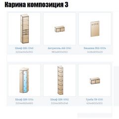Прихожая Карина (модульная) в Тарко-Сале - tarko-sale.mebel24.online | фото 8