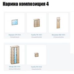 Прихожая Карина (модульная) в Тарко-Сале - tarko-sale.mebel24.online | фото 10