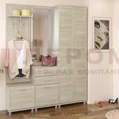 Прихожая Мелисса композиция 11 (Ясень Асахи) в Тарко-Сале - tarko-sale.mebel24.online | фото