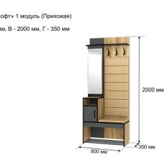 ОЛЬГА-ЛОФТ 1 Прихожая в Тарко-Сале - tarko-sale.mebel24.online | фото 4