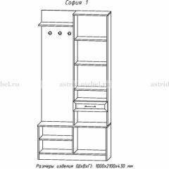 Прихожая София 1 в Тарко-Сале - tarko-sale.mebel24.online | фото 3