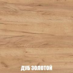 Шкаф 2-х створчатый МСП-1 (Дуб Золотой/Камень темный) в Тарко-Сале - tarko-sale.mebel24.online | фото 4