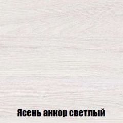 Шкаф 2-х створчатый МСП-1 (Ясень Анкор светлый) в Тарко-Сале - tarko-sale.mebel24.online | фото 4