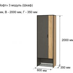ОЛЬГА-ЛОФТ 3 Шкаф 2-х створчатый в Тарко-Сале - tarko-sale.mebel24.online | фото 4