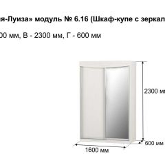 Шкаф-купе 1600 с зеркалом "Мария-Луиза 6.16" в Тарко-Сале - tarko-sale.mebel24.online | фото 4