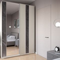 Шкаф-купе 1700 серии SILVER S3+S4+B2+PL4 (2 ящика+F обр.штанга) профиль «Серебро» в Тарко-Сале - tarko-sale.mebel24.online | фото