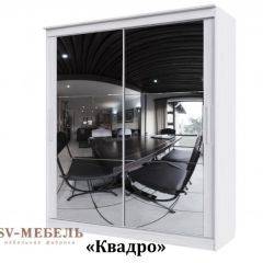 Шкаф-купе №19 Серия 3 Квадро (1700) Ясень Анкор светлый в Тарко-Сале - tarko-sale.mebel24.online | фото