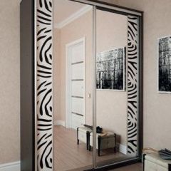 Шкаф-купе "Премиум" 2-х дверный №16 (1800) в Тарко-Сале - tarko-sale.mebel24.online | фото