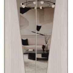 Шкаф-купе 2250 серии SILVER S3+S1+S3Z B22+PL2 (по 2 ящика лев/прав+1штанга+1 полка) профиль «Серебро» в Тарко-Сале - tarko-sale.mebel24.online | фото 15
